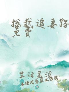 总裁追妻路漫漫免费