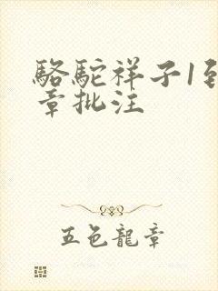 骆驼祥子1到4章批注