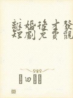 离婚后才发现爱短剧免费观看全集