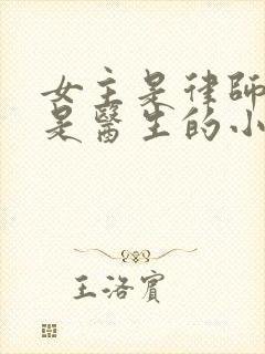 女主是律师男主是医生的小说