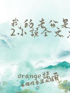 我的老公是冥王2小说全文免费阅读