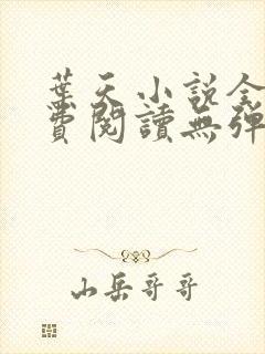 叶天小说全文免费阅读无弹窗