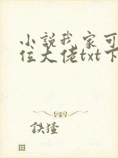 小说我家可能有位大佬txt下载