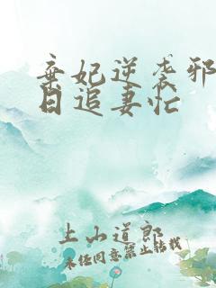 弃妃逆袭邪王日日追妻忙