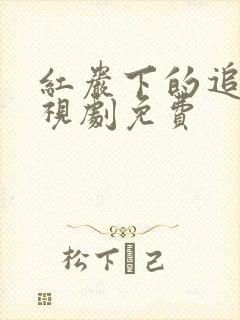 红岩下的追捕电视剧免费