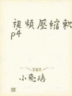 视频压缩软件mp4