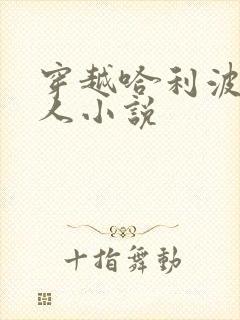 穿越哈利波特同人小说