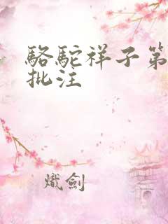 骆驼祥子第8章批注