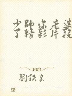 少帅你老婆又跑了精彩片段