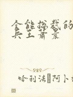 全能总裁的全能兵王萧晨