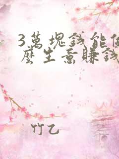 3万块钱能做什么生意赚钱