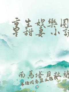 重生娱乐圈之巨星甜妻 小说