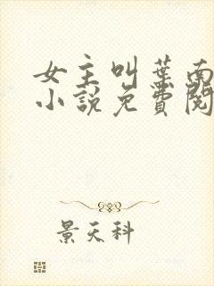 女主叫叶南枝的小说免费阅读