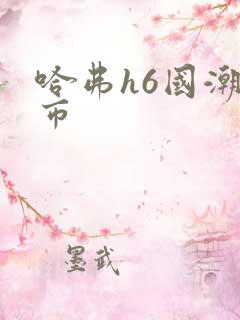 哈弗h6国潮都市