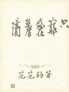 亿万盛宠只为你圆房在哪