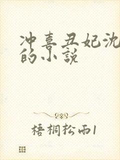 冲喜丑妃沈清一的小说