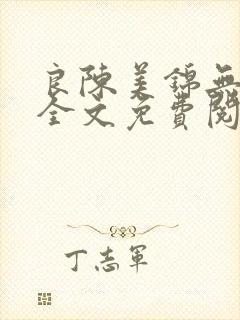 良陈美锦无删减全文免费阅读