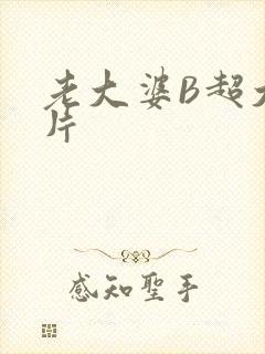 老大婆B超大图片