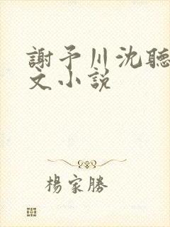 谢予川沈听晚全文小说