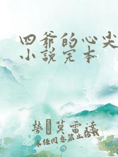 四爷的心尖宠妃小说完本