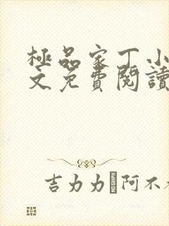 极品家丁小说全文免费阅读在线阅读