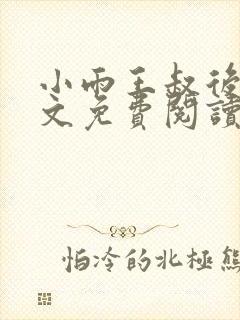 小雨王叔后续全文免费阅读小说