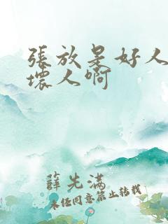 张放是好人还是坏人啊