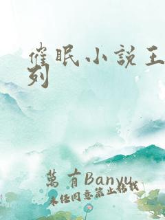 催眠小说王鹏系列