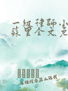 一级律师小说木苏里全文免费阅读