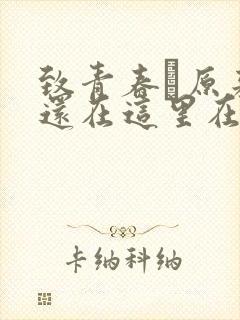 致青春·原来你还在这里在线播放