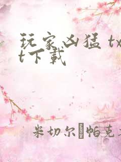 玩家凶猛 txt下载