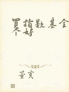 买指数基金选哪个好