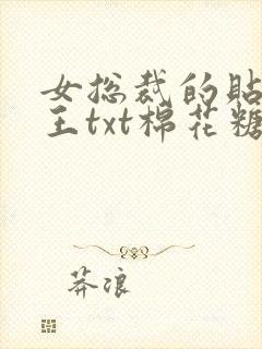 女总裁的贴身兵王txt棉花糖