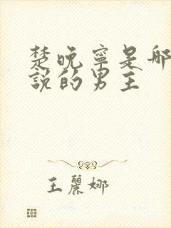 楚晚宁是哪部小说的男主