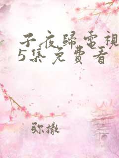 子夜归电视剧35集免费看