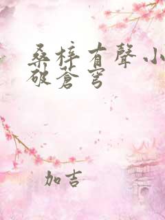 桑梓有声小说斗破苍穹