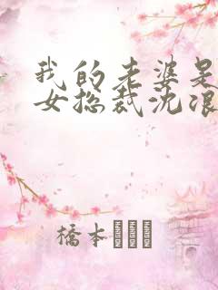 我的老婆是冰山女总裁沈浪免费