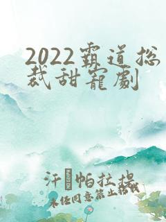 2022霸道总裁甜宠剧