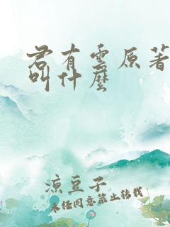 君有云原著小说叫什么