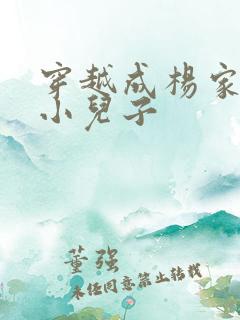 穿越成杨家将最小儿子