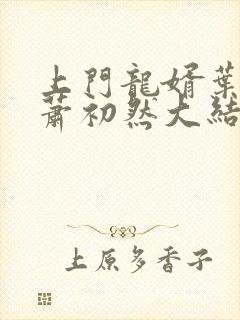 上门龙婿叶辰和萧初然大结局