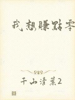 我想赚点零花钱