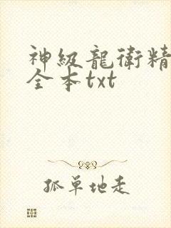 神级龙卫精校版全本txt
