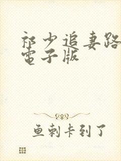 祁少追妻路漫漫电子版