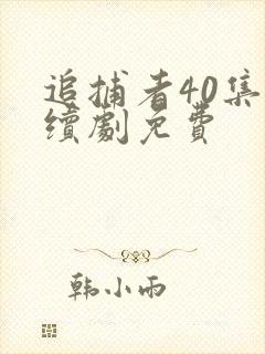 追捕者40集连续剧免费