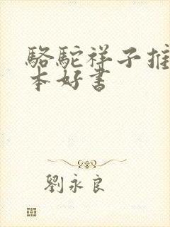 骆驼祥子推荐一本好书