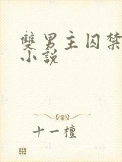 双男主囚禁逃跑小说