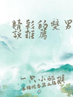 精彩的双男主小说推荐