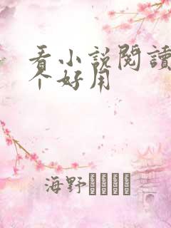 看小说阅读器哪个好用