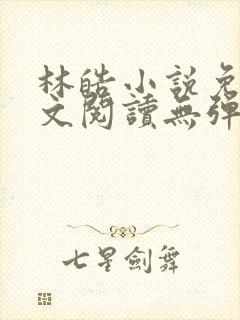 林皓小说免费全文阅读无弹窗